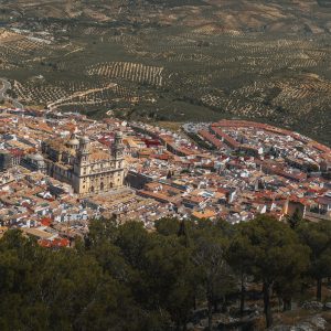 Aerial view of Jaen city with Cathedral and olive trees - Jaen, Andalusia, Spain